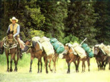 USA-Montana-Bob Marshall Wilderness Pack Trips